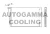 AUTOGAMMA 107491 Condenser, air conditioning